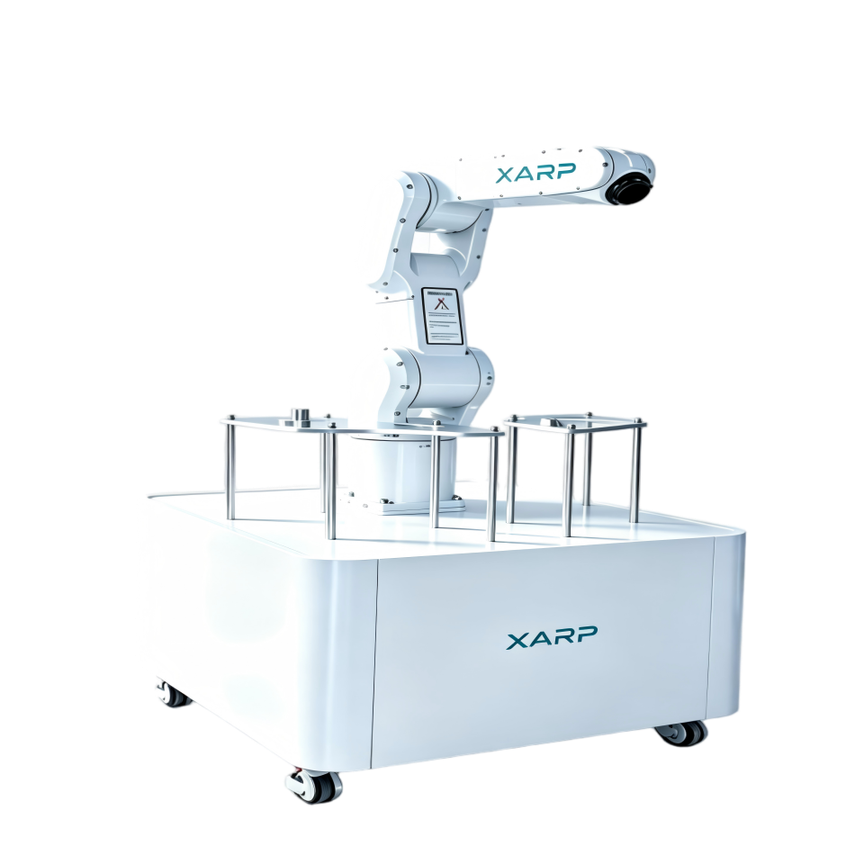 Robot paletizador XARP XP910-6C